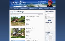 judylevin.com