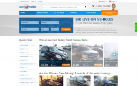 autobidmaster.com