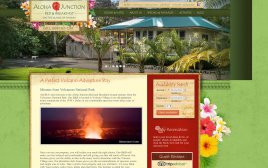 bbvolcano.com