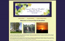 vineyardbb.com