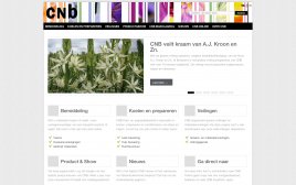 cnb.nl