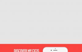 cicis.com